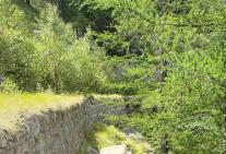 fruschingi-loif-18.jpg